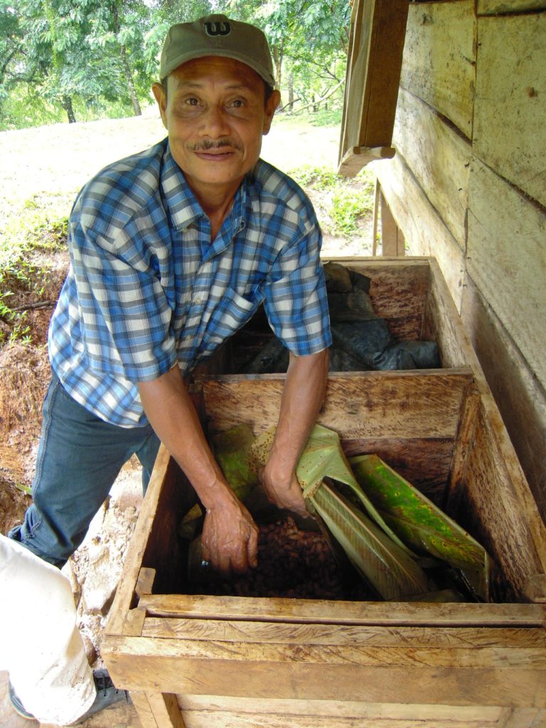 Vérification du séchage des fèves de cacao
